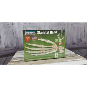 Lindberg Science Kits Skill 2 hand anatomy skeleton Educational Lloyd 71313 bone